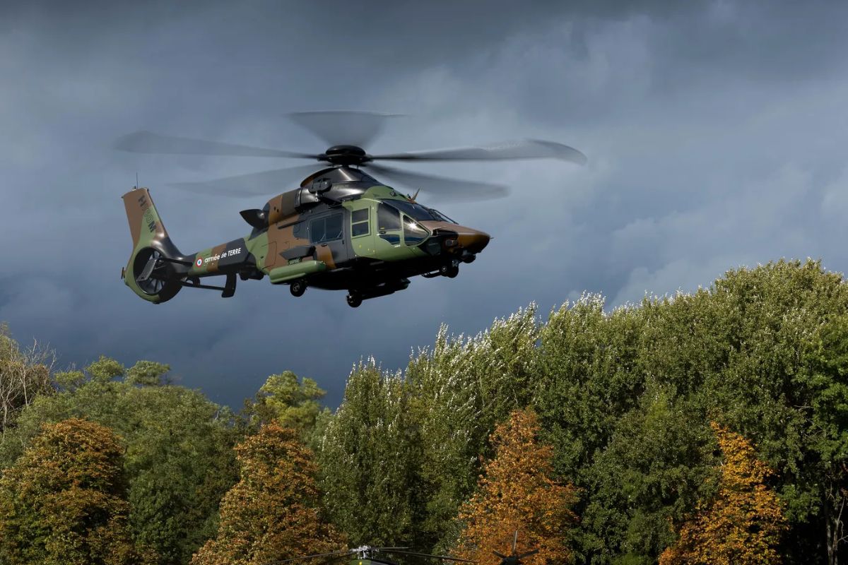 Forum Militaire tweet media