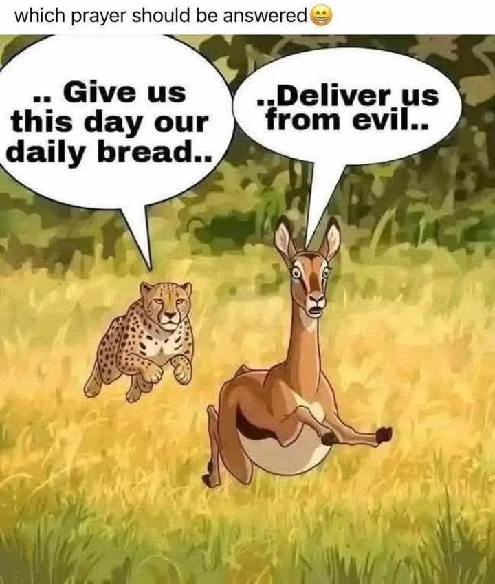 Ernest-001⚓💫💫 tweet media