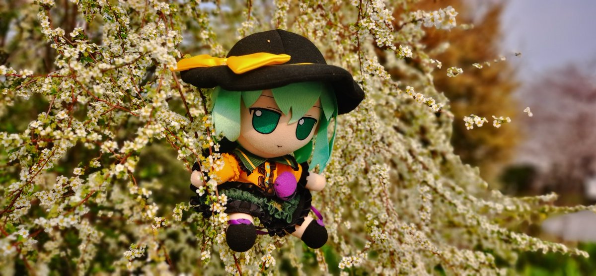 TK (@TKwithFUMO) / Posts / X