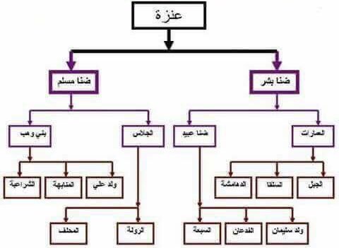 وسَّام العَلابي tweet media
