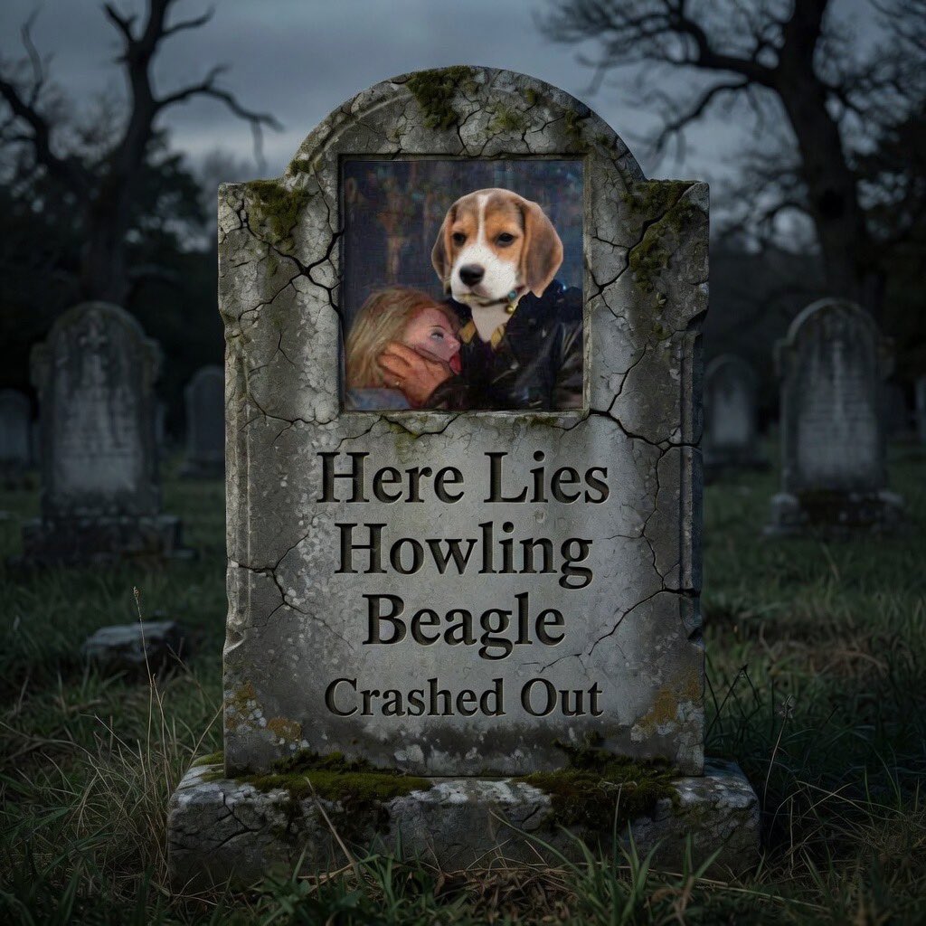 HowlingZoloft tweet media