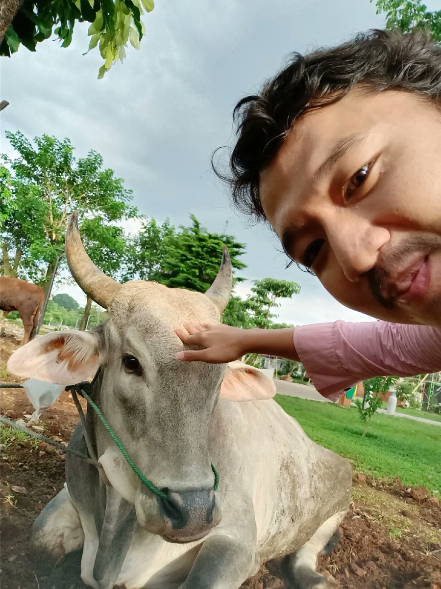 sofian522's tweet photo. Alhamdulillah Akir nya saya bisa ke beli dua ekor hewan Qurban untuk persiapan menyambut idul adha 1447 semoga bermanfaat bagi banyak orang dan berbagi itu indah 🙏 🙏 😇😇🥰🥰 https://t.co/6TD2WnusN5