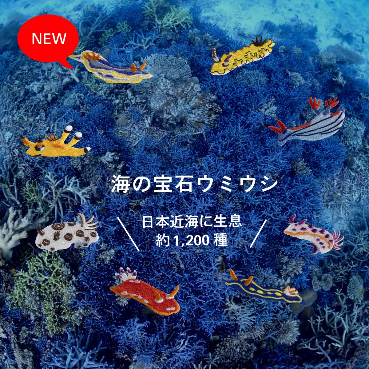 KYOTOTO_OFCL's tweet photo. ［新商品］海の宝石、ウミウシ。海底でひときわ光る色彩は、集めたくなる美しさです。

ワッペン　アオウミウシ　¥770
https://t.co/hPkGFbluxM

#京東都 #KYOTOTO #刺繍のある暮らし #ウミウシ #ワッペン https://t.co/2nkofPddVa