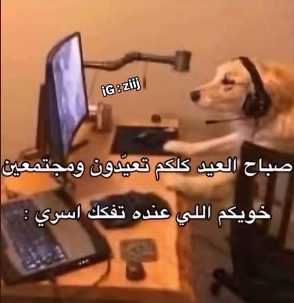 REBHFun's tweet photo. أنا والعيال https://t.co/Bed1EEITw5