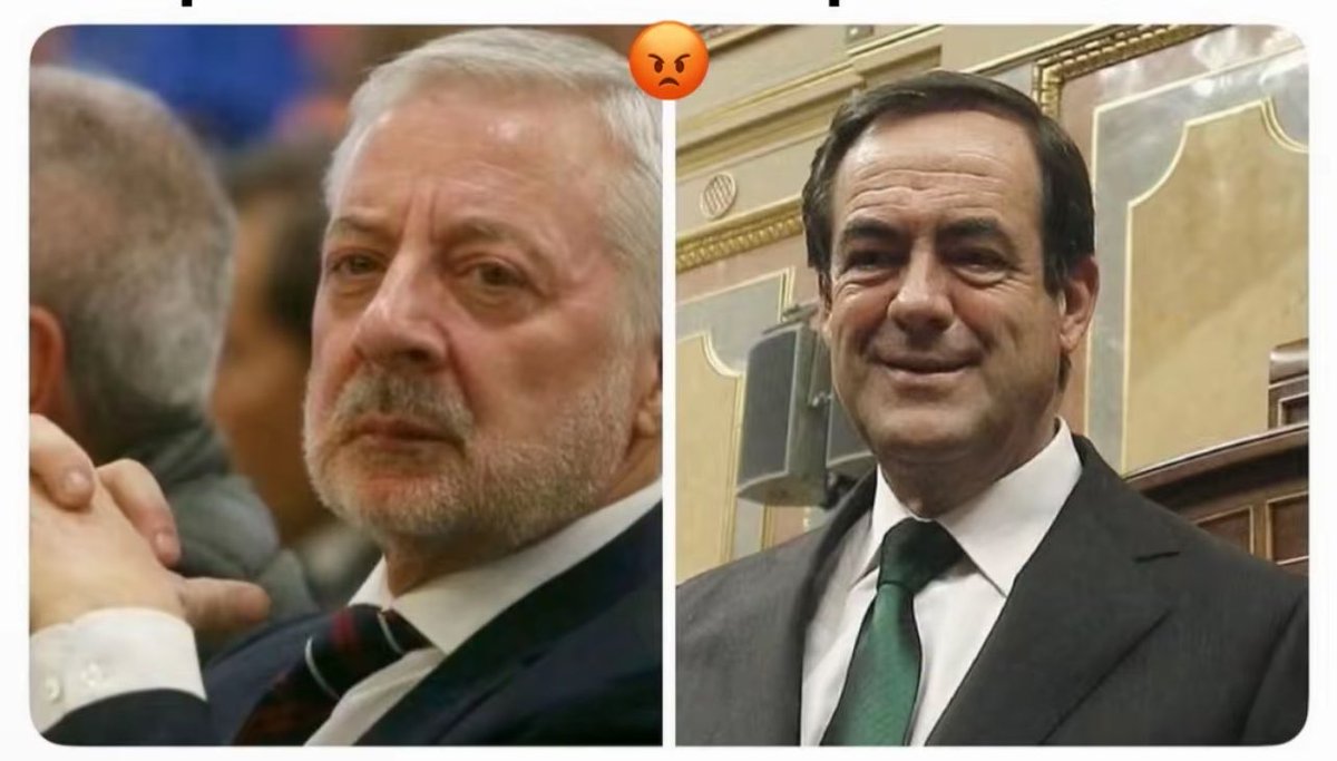 Muy.Mona/🇪🇸💚 tweet media