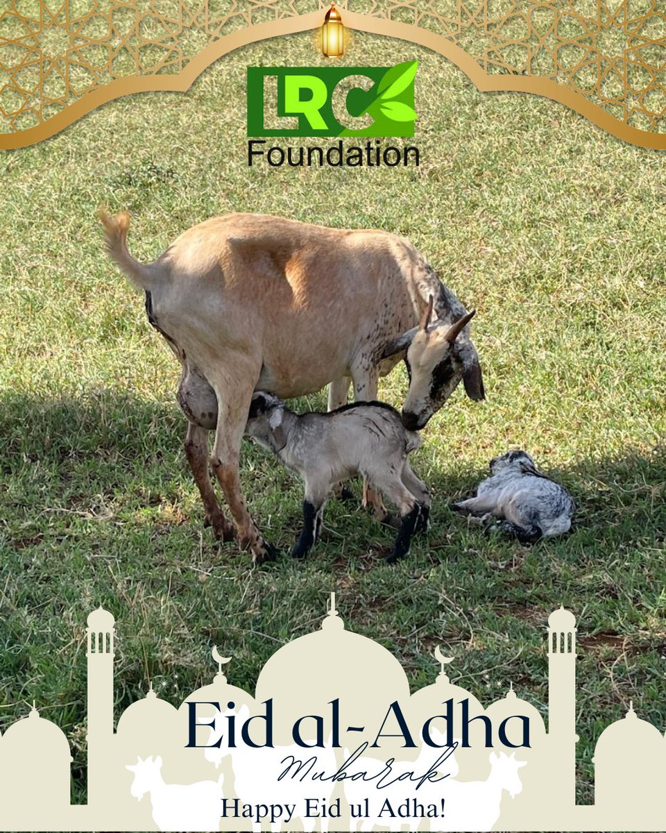 LRC Foundation tweet media