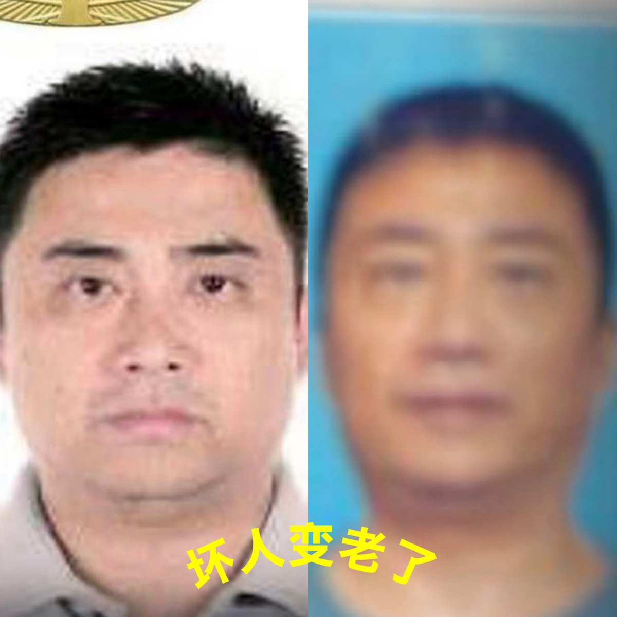 陈共和吃屎💩 tweet media