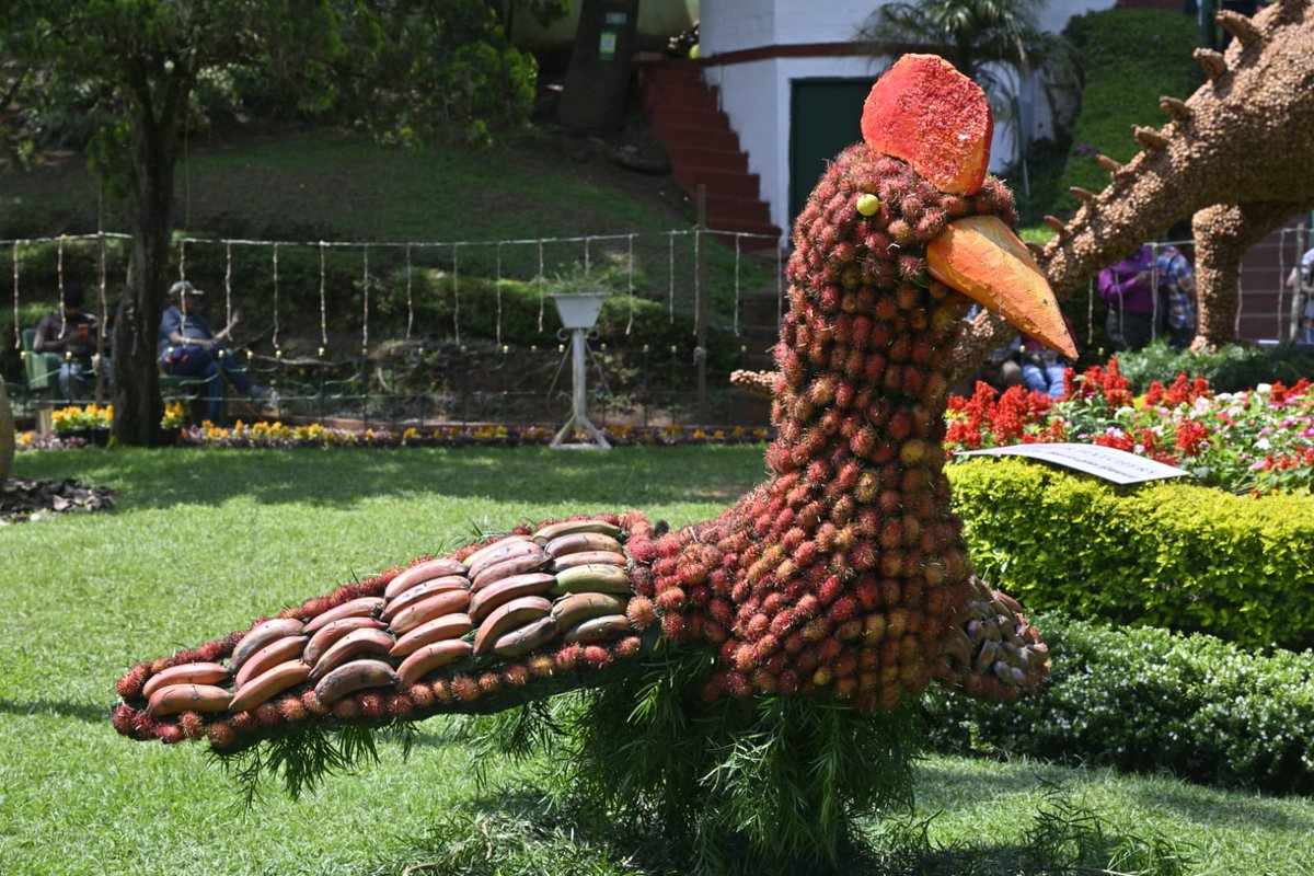 THChennai's tweet photo. The 66th annual #fruit show began at Sims Park in #Coonoor on Wednesday.

📹&amp;📸: M. Sathyamoorthy (@sathyooty) / The Hindu https://t.co/0EkciEt74u