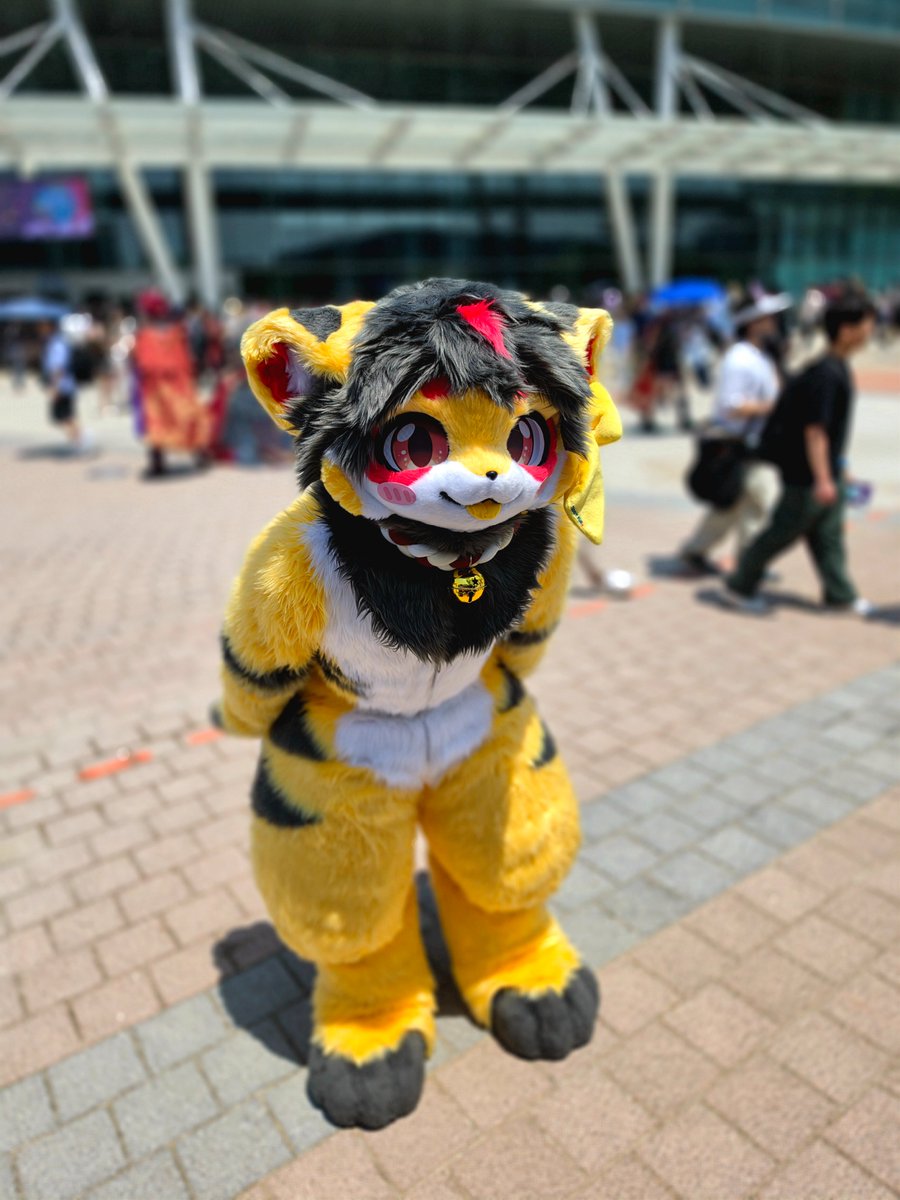 lunainfox's tweet photo. #퍼리_𝕏친소 #퍼리_트친소

오랜만에 다시 트친소 올립니다!

퍼리코드라는 2,000명 서버 말고도 4,700명 서버를 운영하고 있으며 행사 다니면서 사진도 찍고 퍼리도 좋아하고 자캐도 있고 디스코드 도움도 주는 구미호라서 이름이 나인입니다.

감사합니다. https://t.co/aPVxEylqNf