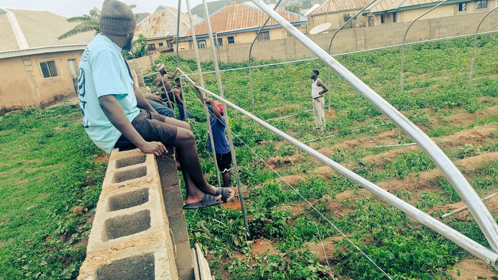 GeorgeLambert_1's tweet photo. Dara Farms, proficiency is proven through efficiency &amp; execution.
We are currently working on 3 different greenhouse sites concurrently, &amp; today we commence the 4th simultaneously. 
Delivering projects with precision, speed, &amp; consistency, because modern agric. demands excellence https://t.co/RuMn51sVvQ