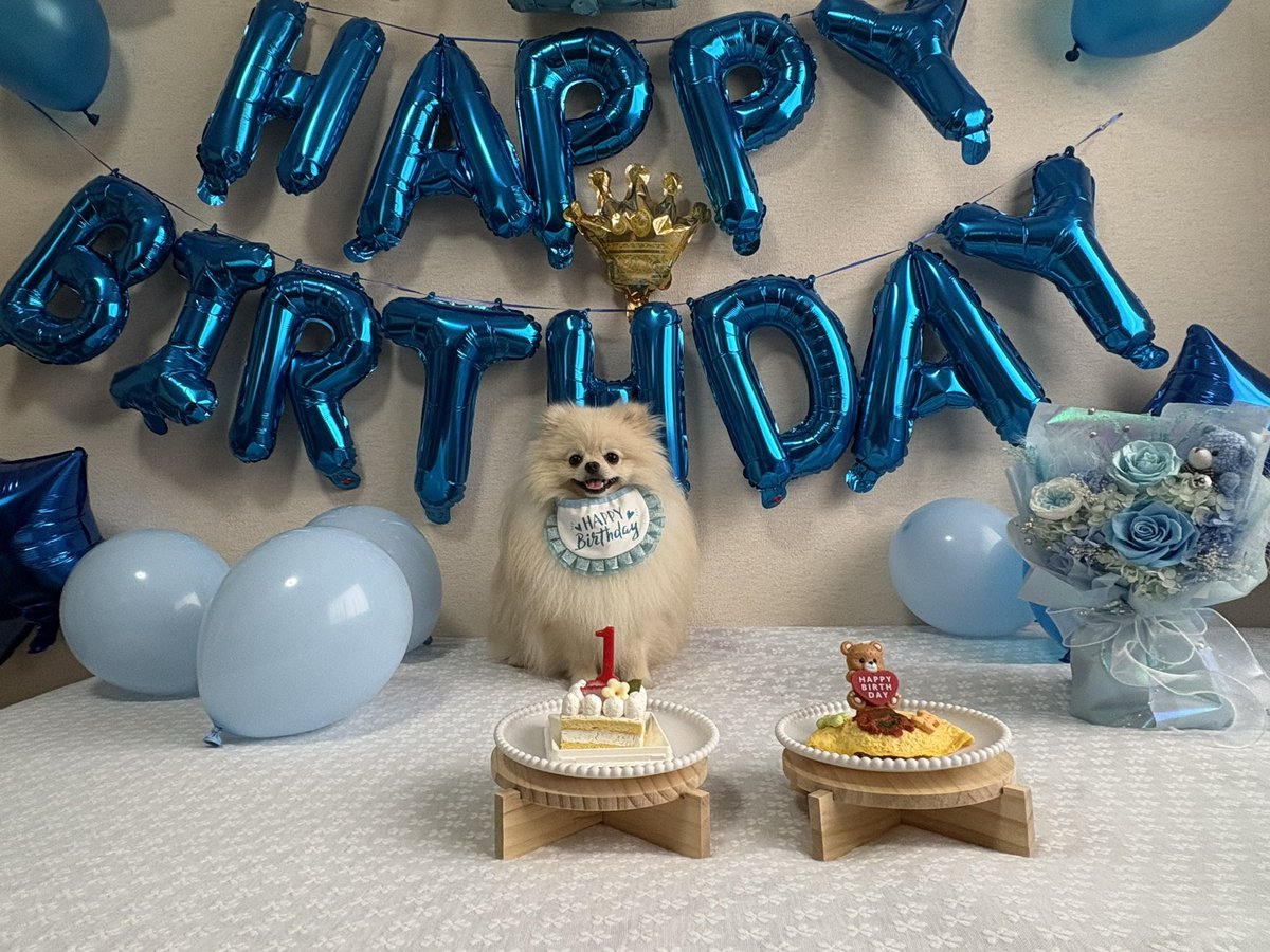 ハッピーバースデーイッヌ🐶 おめでとうワン🎂🎉