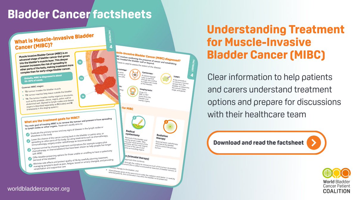 WorldBladderCan's tweet photo. What is non-muscle-invasive bladder cancer? 🤔

It is bladder cancer that has not grown into the muscle layer of the bladder wall.

This #BladderCancerMonth2026, explore our factsheet and learn more 🩺

👉 https://t.co/6BxyZoopF6

#BladderCancerMonth26 #BladderCancer #GetChecked #BladderCancerAware