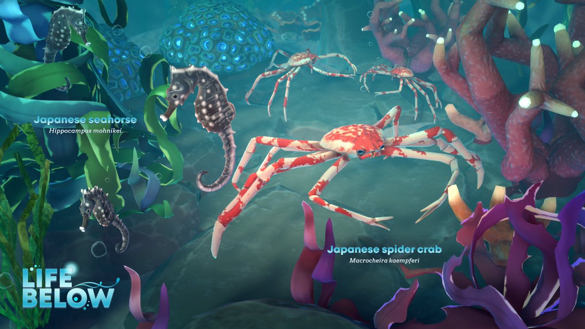 Ninjago9101's tweet photo. Life Below is now available on Steam! 

A new ocean city-building sim focused on restoring underwater ecosystems.

Features: 
• Build underwater habitats
• Revive marine life
• Overcome environmental threats
• Use sea creature-inspired abilities https://t.co/me7TiZdLP5