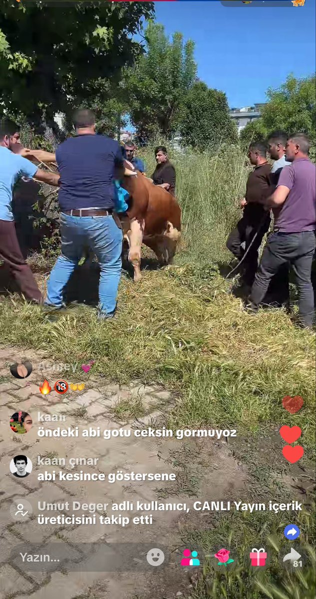 zeph tweet media