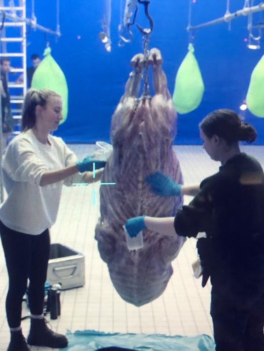 NancyShudder's tweet photo. Mutant cow fetus from cut fridge scene in Return to Silent Hill https://t.co/6uYG8QConY