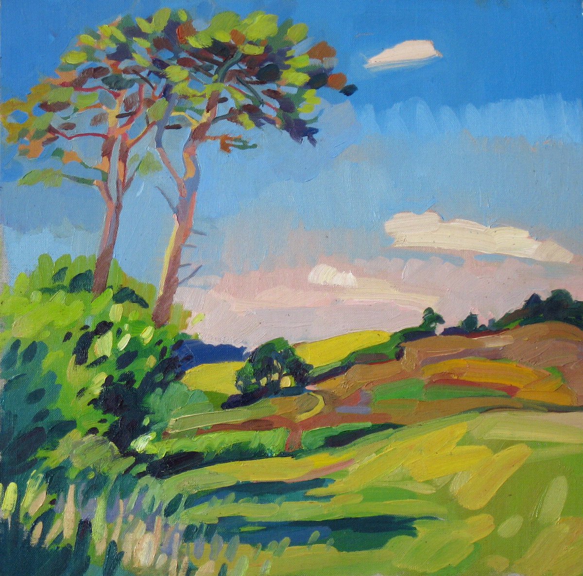 lachlangoudie's tweet photo. 'The pines', 40x40cm, OIl on board https://t.co/bNxcVWoCZ0
