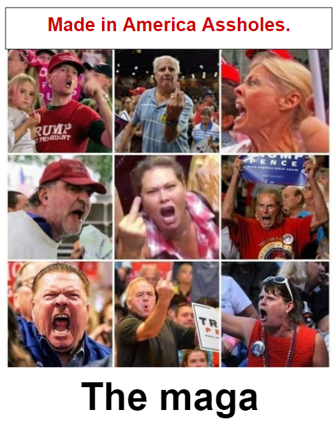 jeffa28480's tweet photo. @subi35460 Well said! 👏👏👏👏

These fucking maga uneducated cultist traitors are fully responsible for the way things are today. Not just here but around the world.

I fucking truly hate them. https://t.co/Z9IinncDZe