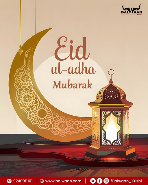 BalwaanOfficial's tweet photo. Celebrating the spirit of faith, sacrifice, and togetherness. 🌙✨

May this Eid al-Adha bless your homes with peace, your fields with prosperity, and your life with endless happiness. 
Eid Mubarak! 🌙🤍

#EidMubarak #Bakrid #Eid2026 #FestivalOfSacrifice #GrowWithBalwaan 🌙✨ https://t.co/SBQGkxede5