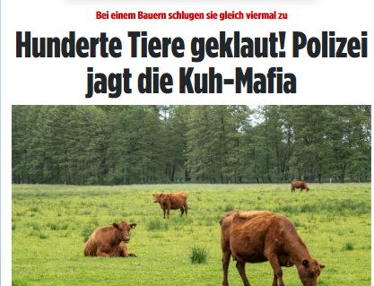 Bettina Punkt tweet media