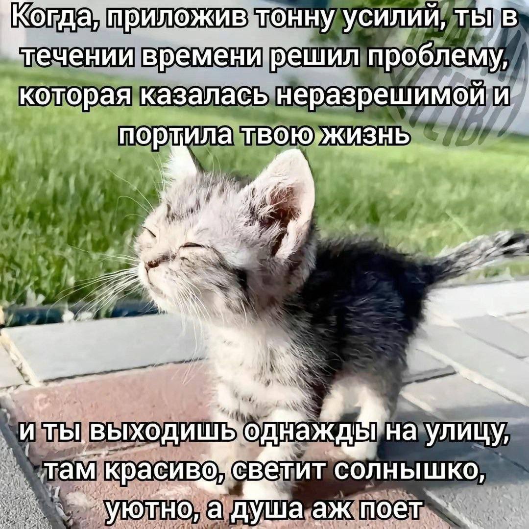 демон-душнитель 🔞 tweet media