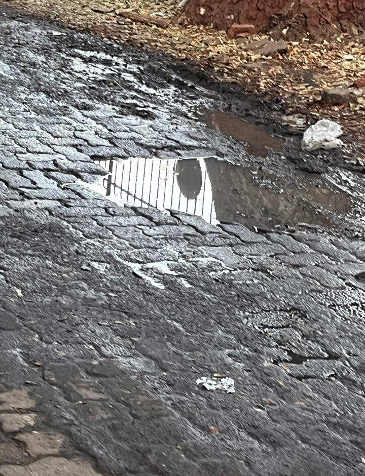 SentinelWachter LeGarde tweet media