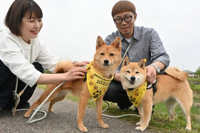 1000RP：【🐶】「犬のおまわりさん」続々誕生、7カ月で170匹登録 柴犬