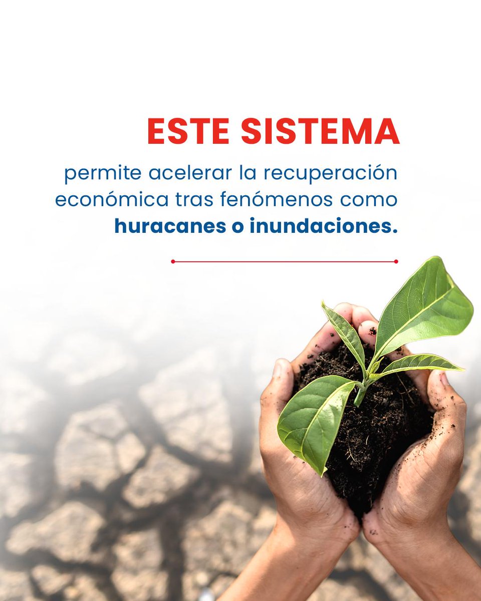 BritchamDR's tweet photo. El cambio climático también está transformando la forma en que se gestionan los riesgos financieros y económicos. 🌎

#BRITCHAMDR #SegurosParamétricos #CambioClimático https://t.co/yz9sGQJbFQ