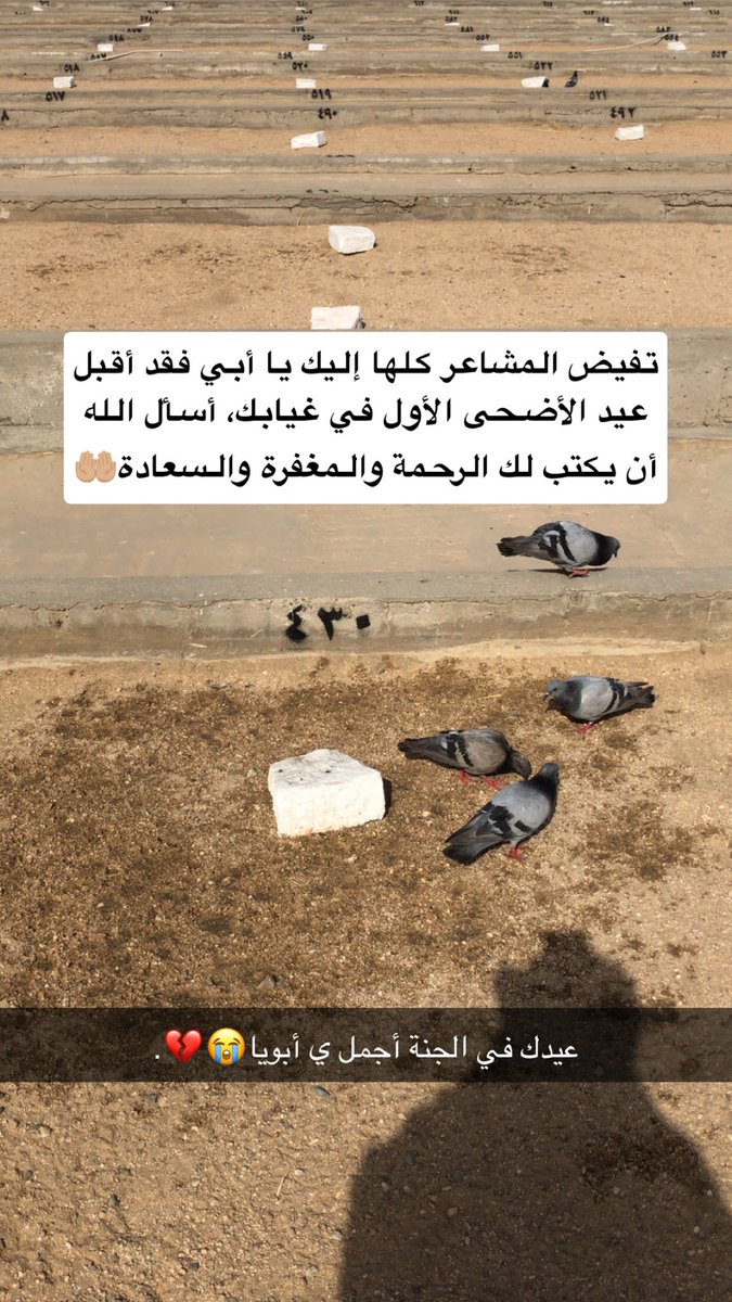 emadooh_94's tweet photo. الله يغفرلك ويرحمك ي أبويا ويجعلك فجنات النعيم🤲🏼 https://t.co/st1SVK92k7