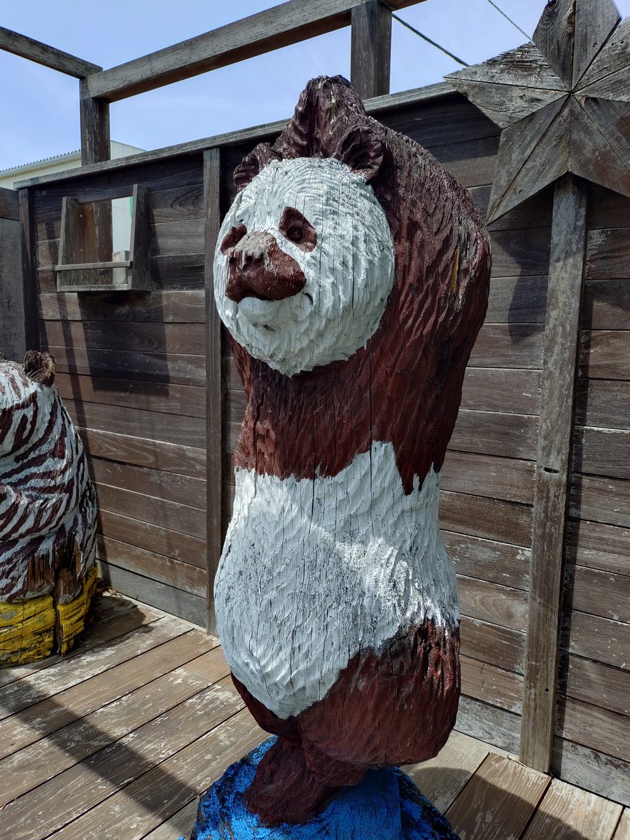 Hashimoto32Shin's tweet photo. 角度によって雰囲気が変わるパンダさん🐼 https://t.co/Ob9EghfFbk