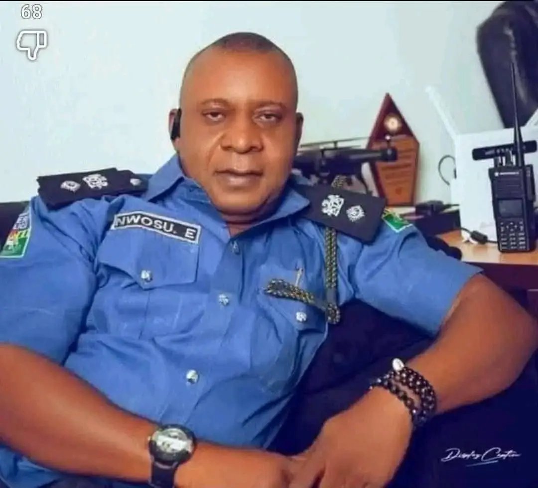 Chief Ikechukwu Ude tweet media