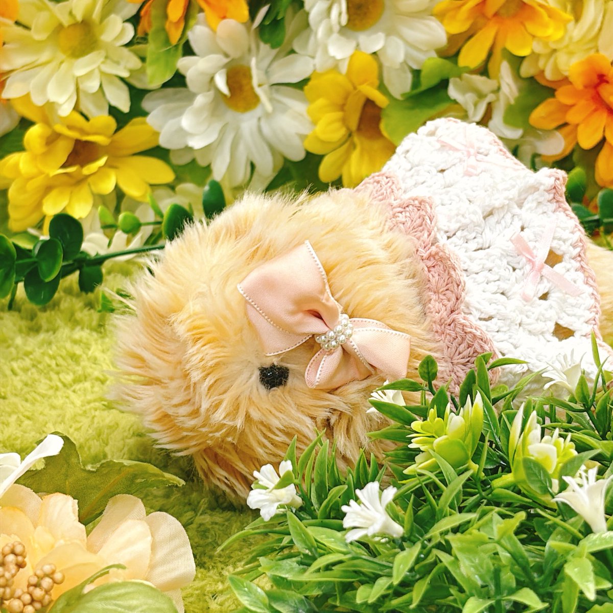 もっぷぅ🐰の飼い主✨ tweet media