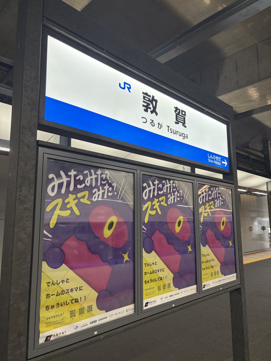 ろいぱっと tweet media