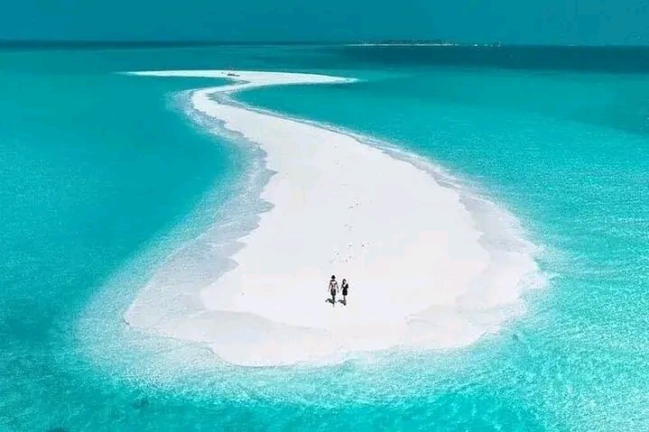 exploreke2026's tweet photo. 🌴✨ Escape to paradise in Zanzibar Island! Crystal-clear waters.

Join our 4 Days / 3 Nights Zanzibar Paradise Tour and experience the beauty of the  Ocean like never before. 🏝️🐬

Book now:
https://t.co/yvZSxSdO9Z

#ZanzibarParadise #ExploreKenya #TravelAfrica #BeachVacation https://t.co/GUGvpGzE8L