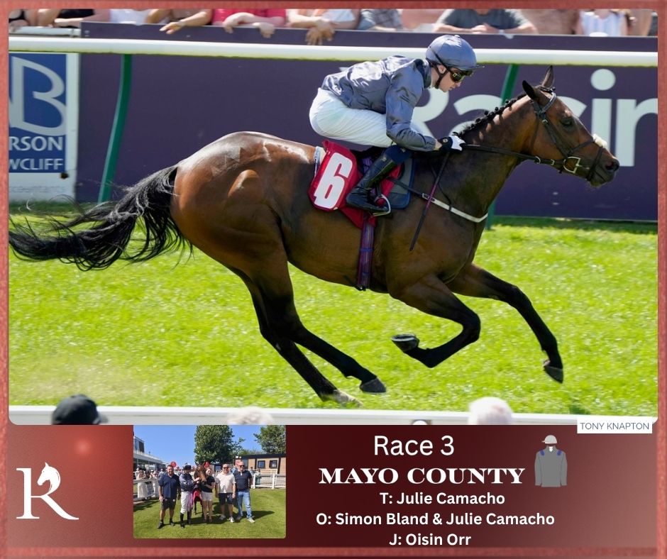 Redcar Racecourse tweet media