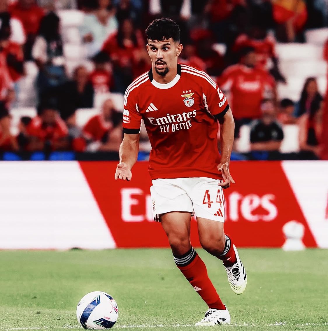 Diário de Transferências tweet media