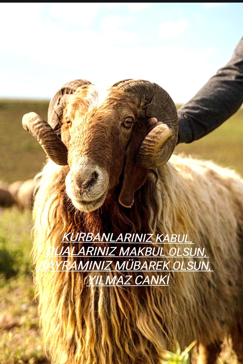 CANKi47FB's tweet photo. #Cejnâkurbânêpirozbê #KurbanBayramımızMübarekOlsun https://t.co/1UaYnOJoI0