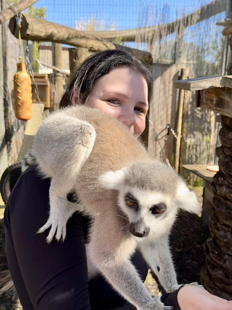 UpRvrAdventures's tweet photo. 🦫🐍 Wild encounters await at the Upriver Adventures Wildlife Park! Meet amazing animals from around the globe and make unforgettable memories with interactive animal encounters led by our expert team 

Feed, touch, and learn in a fun, safe environment! https://t.co/3wIKsP6Ed1 https://t.co/xHOezi4ZMY