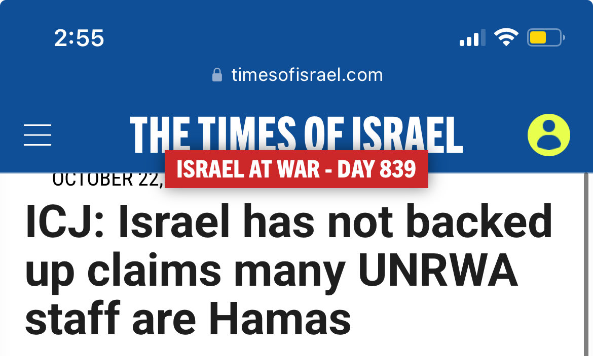 lindsay f. 🇵🇸 tweet media