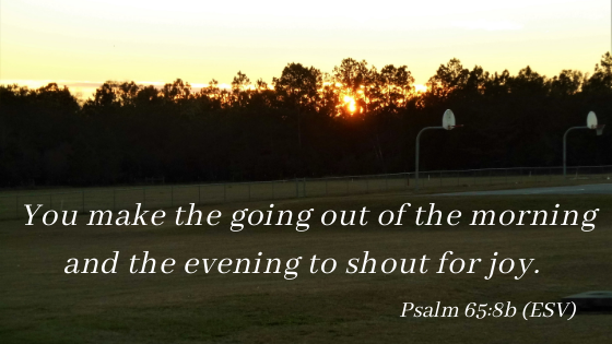 SeeLoveFollow's tweet photo. Have a blessed Friday evening, friends. https://t.co/hs8R7OIiDc