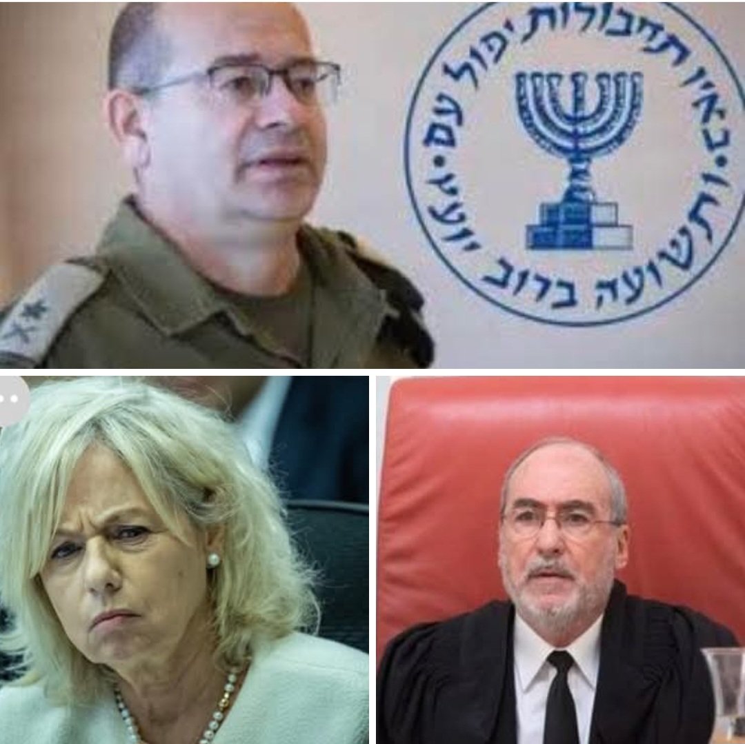 שוקי משעול tweet media