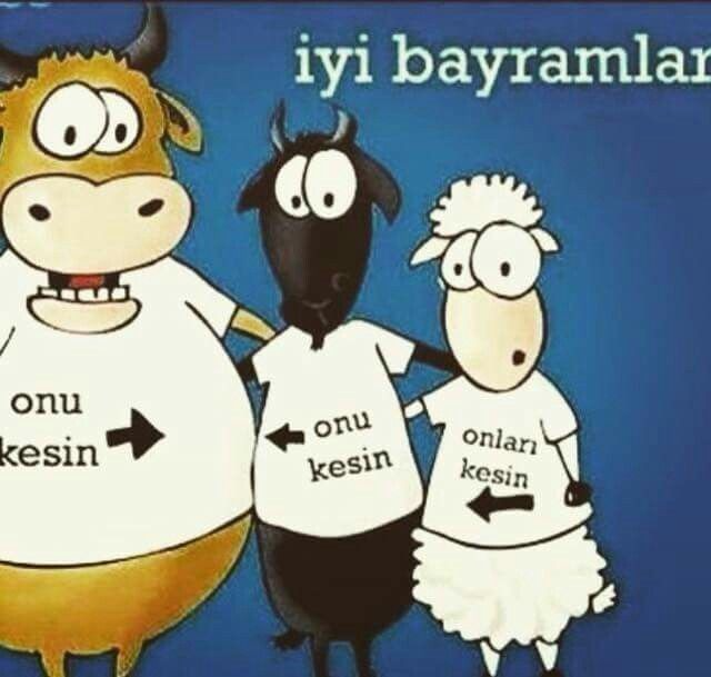 feride09's tweet photo. https://t.co/b2Z3dT14dJ