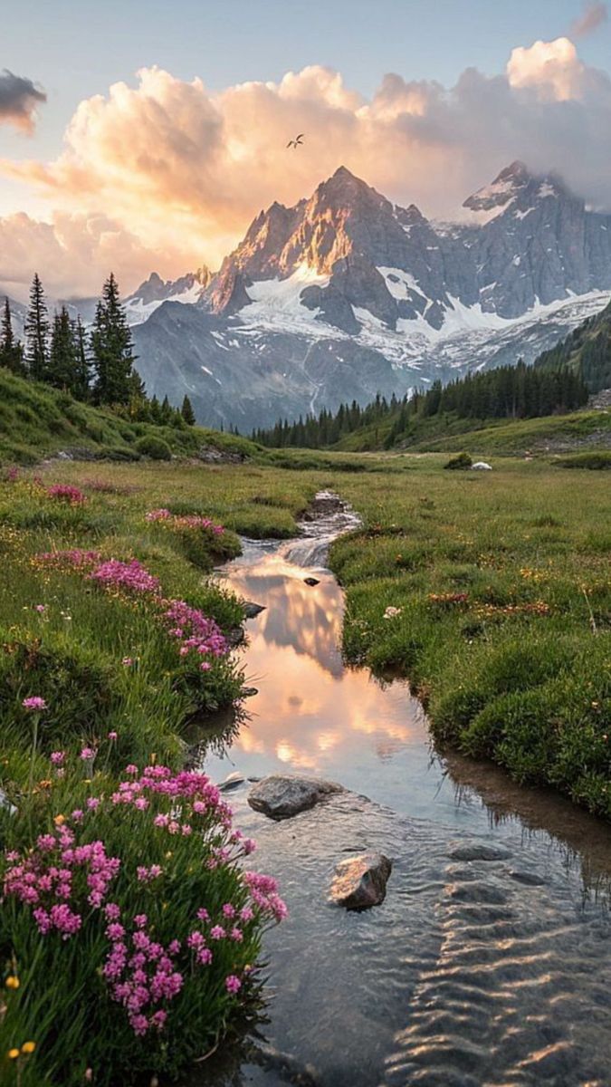The Nature tweet media