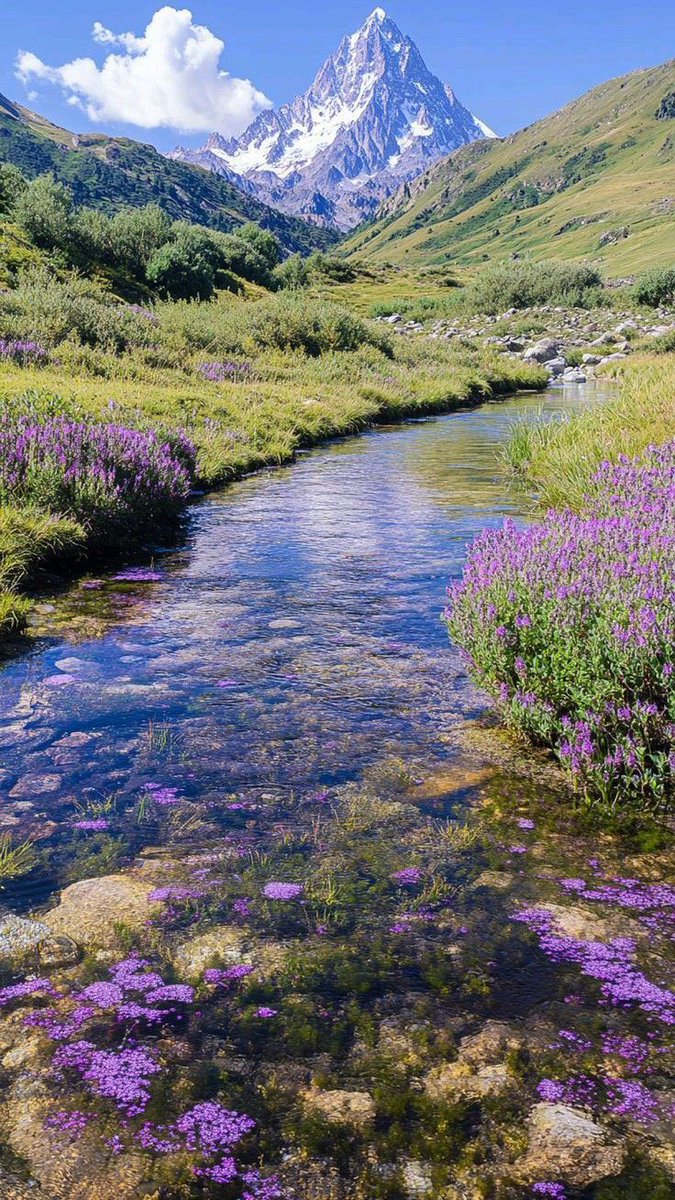 The Nature tweet media