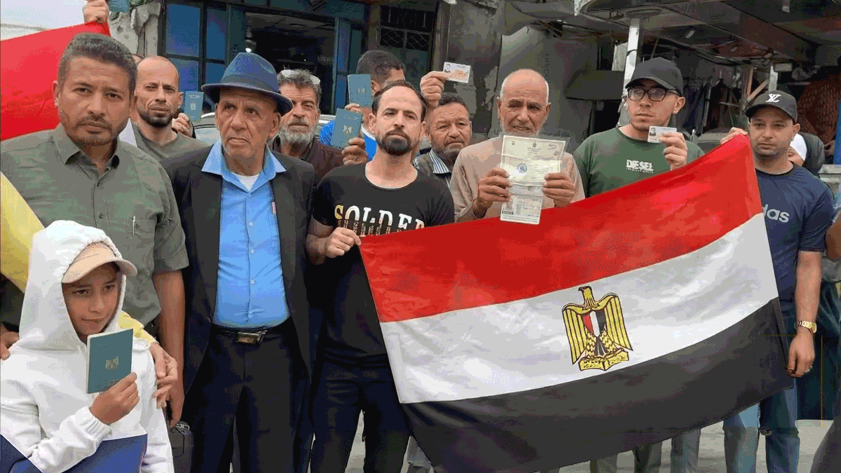 🕊🇪🇬 Marwa 🇵🇸🏴󠁧󠁢󠁥󠁮󠁧󠁿🌿 tweet media
