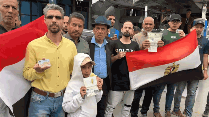 🕊🇪🇬 Marwa 🇵🇸🏴󠁧󠁢󠁥󠁮󠁧󠁿🌿 tweet media