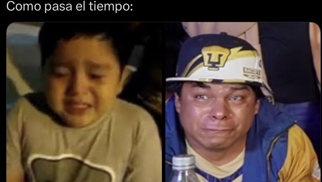 JULIO tweet media