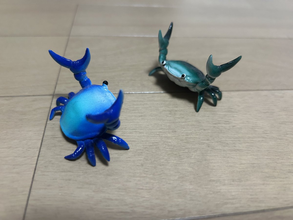 シクラ tweet media