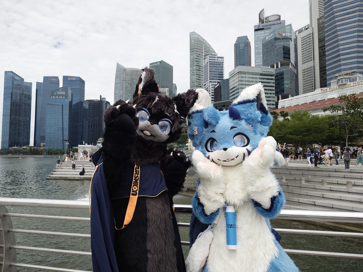 ThisIsThePi's tweet photo. @chanchansg96 was with me when we were with the merlion! We had so much fun hanging out together!

#furry #fursuit #merlion #singapore https://t.co/QegA8cj0OP