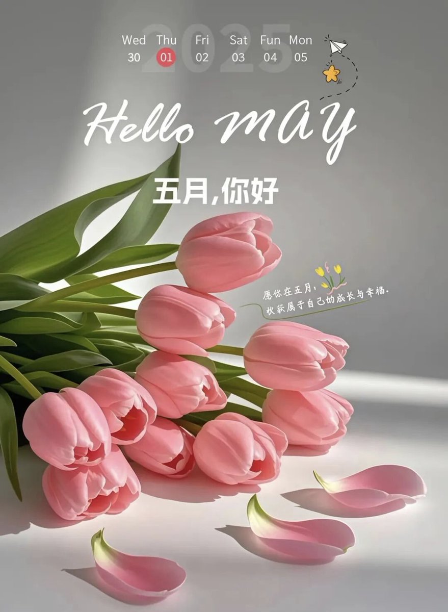 DoryYinxuan's tweet photo. May is ending. No rush, take it slow, all is well ๐ฟ
#EndOfMay #SlowLiving https://t.co/nqG2Jhz24L