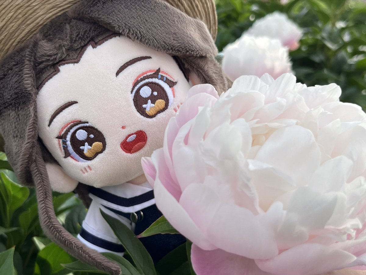 oishiimanjyu's tweet photo. #TLを花でいっぱいにしよう https://t.co/fGdbNN85gx